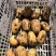 黄心土豆甘肃土豆海量货源支持视频和实地看货欢迎咨询