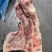 多肉颈骨，多肉猪颈骨