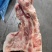 多肉颈骨，多肉猪颈骨