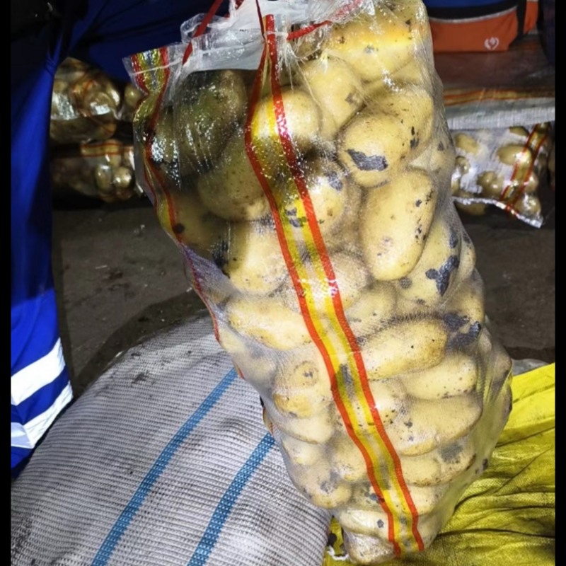 自家大量库存现货土豆，精选干洗给你包装好，然后再装车！