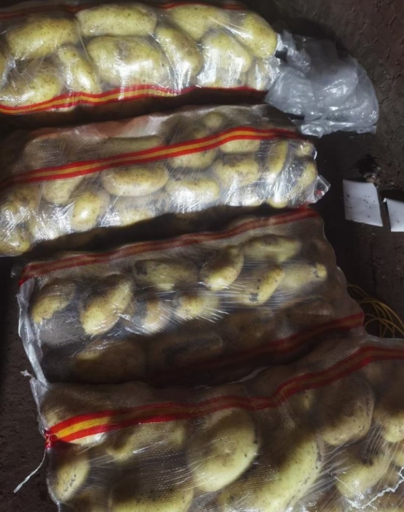 自家大量库存现货土豆，精选干洗给你包装好，然后再装车！