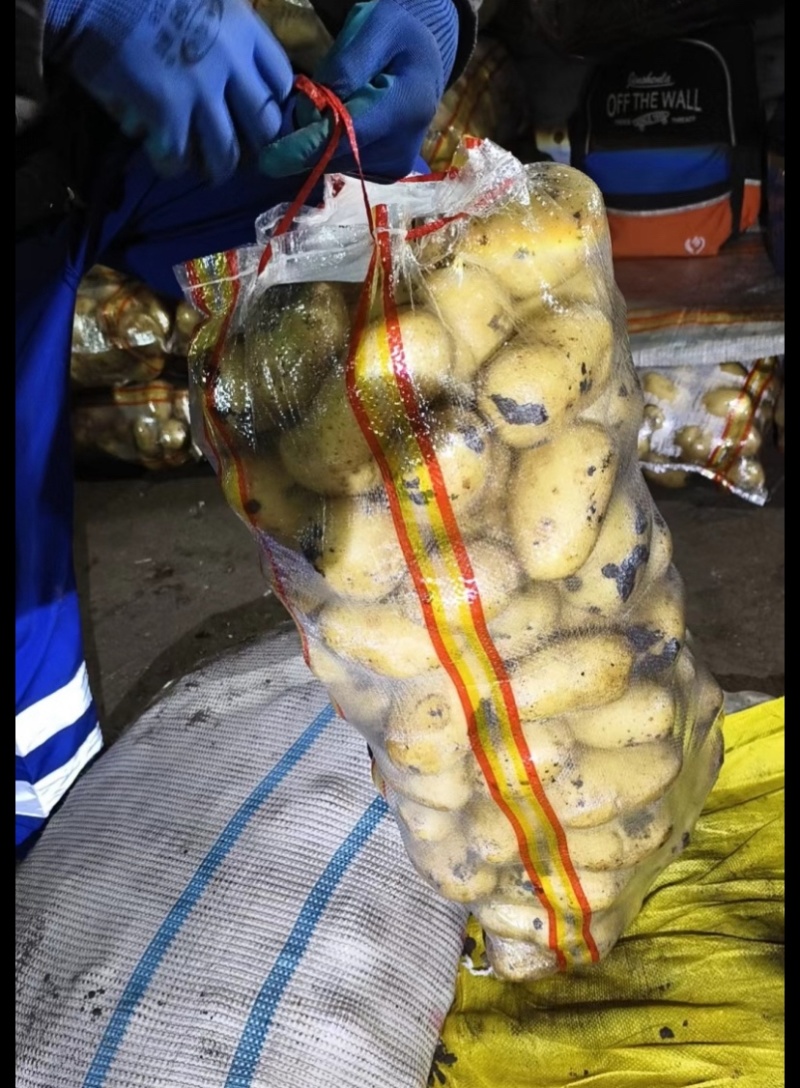 自家大量库存现货土豆，精选干洗给你包装好，然后再装车！