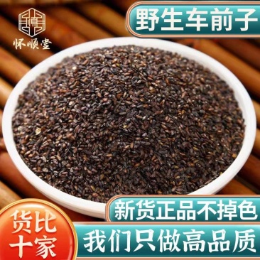包邮）野生车前子500g克车前子车前籽车前草籽