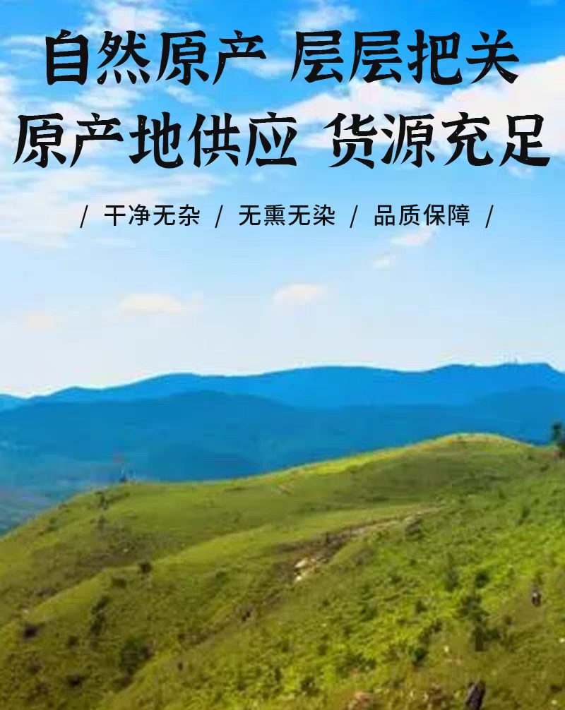 包邮）野生车前子500g克车前子车前籽车前草籽