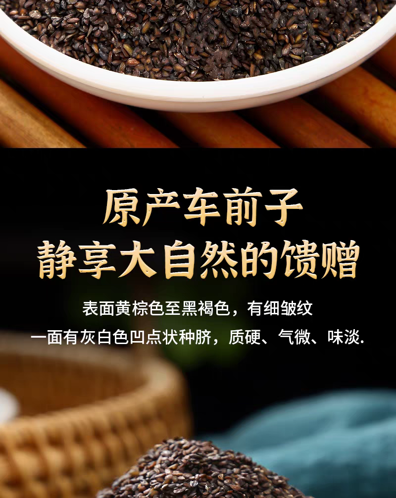 包邮）野生车前子500g克车前子车前籽车前草籽