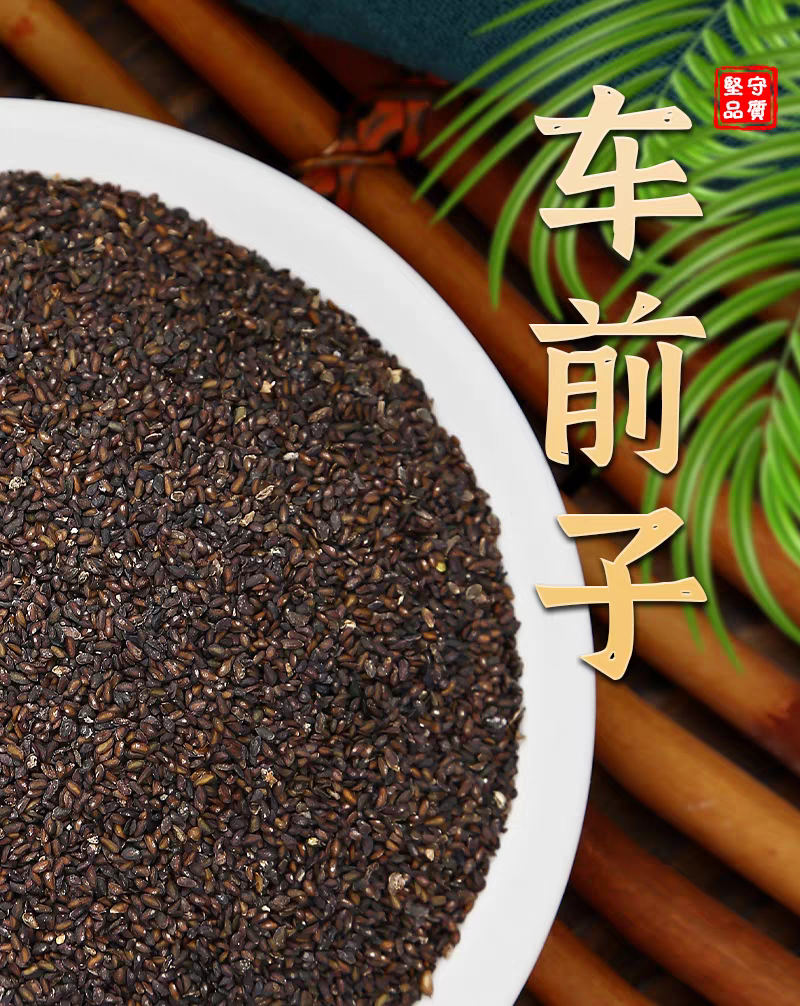 包邮）野生车前子500g克车前子车前籽车前草籽