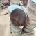 菜板、老树菜板结实耐用不开裂保质保量欢迎下单