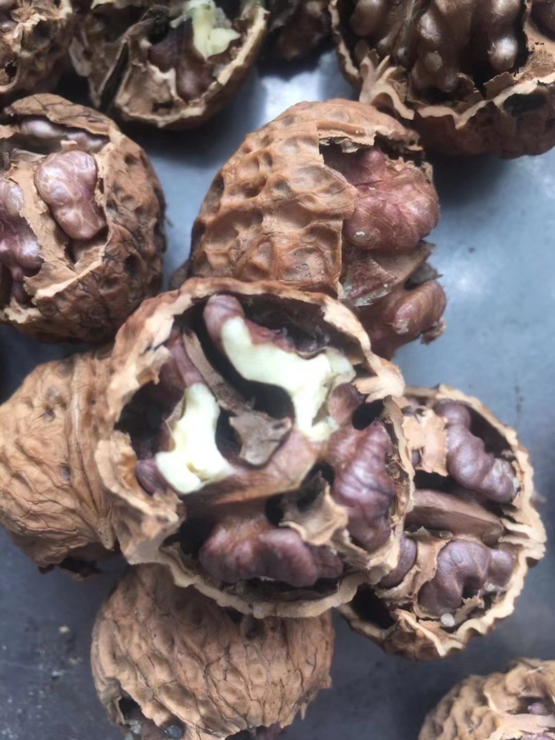 紫米核桃红米核桃春花果大果核桃饱满薄皮核桃现货批发代发