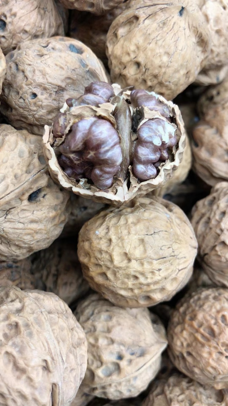 紫米核桃红米核桃春花果大果核桃饱满薄皮核桃现货批发代发