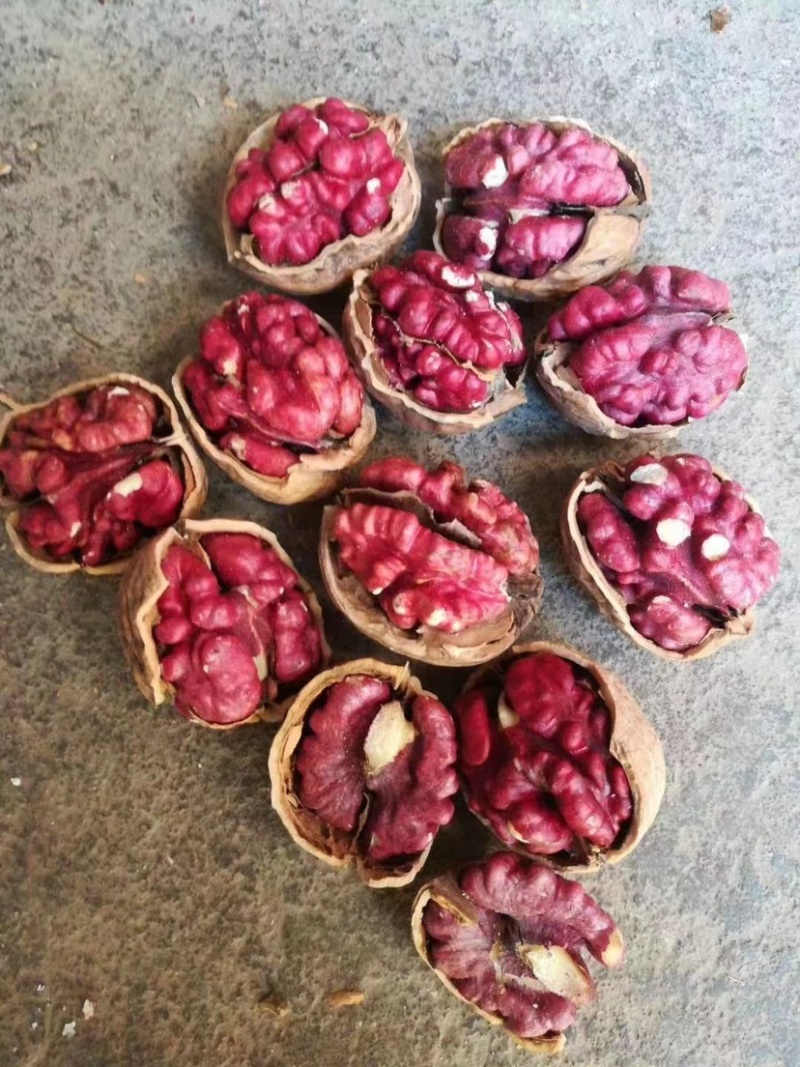 紫米核桃红米核桃春花果大果核桃饱满薄皮核桃现货批发代发