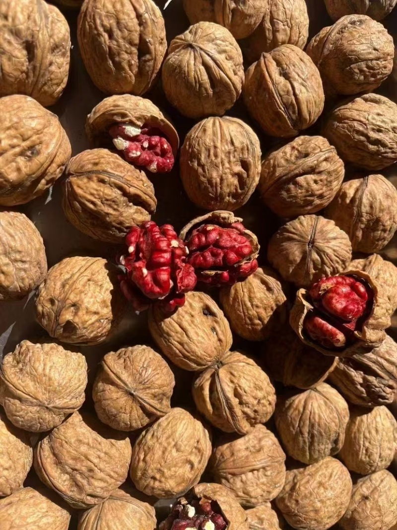 紫米核桃红米核桃春花果大果核桃饱满薄皮核桃现货批发代发