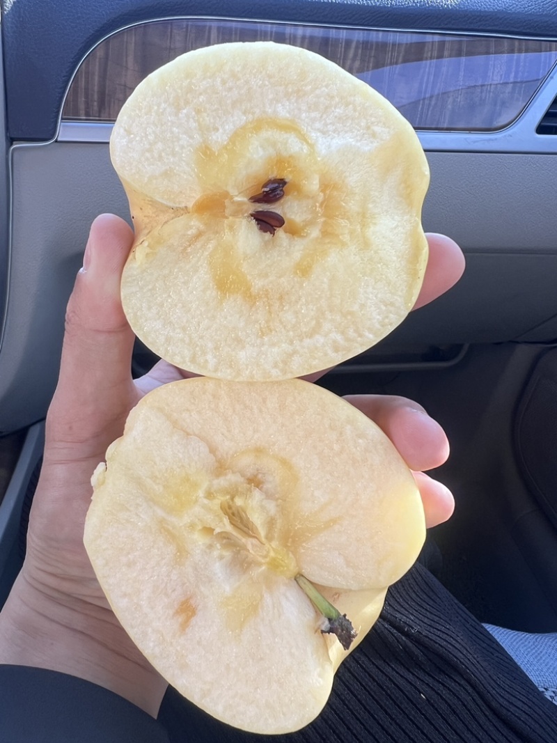 维纳斯黄金苹果