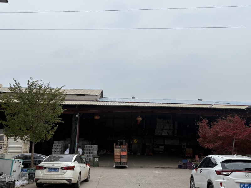 山东红富士自有基地，品质优异，长期稳定，欢迎批发客户！