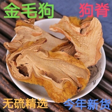 狗脊中药材冷背中药材大全批发零售货真价实假一赔十