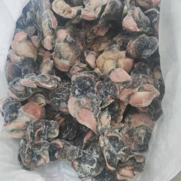 乌鸡胗
