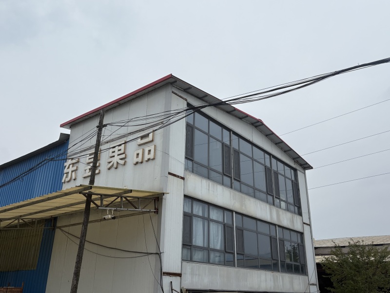高山山东红富士，黄金糖度，果园现摘，支持大宗批发！