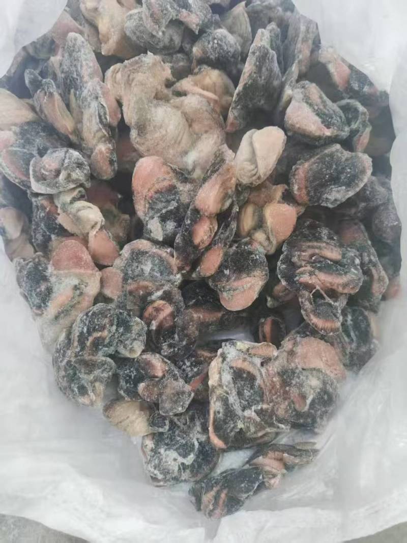 乌鸡胗