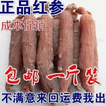 东北长白山整支红参红参个红参无须红参棒大红参整支包邮