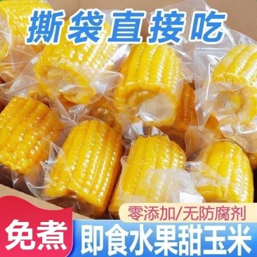 云南高原生态水果玉米甜脆开袋即食玉米段