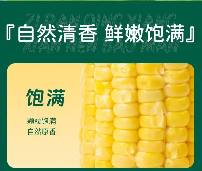 云南高原生态水果玉米甜脆开袋即食玉米段