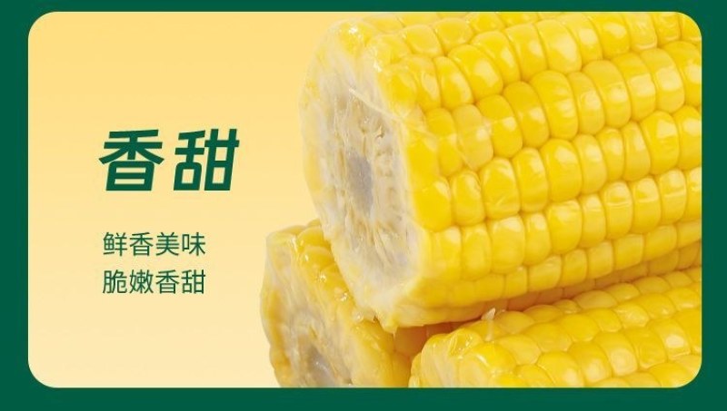 云南高原生态水果玉米甜脆开袋即食玉米段