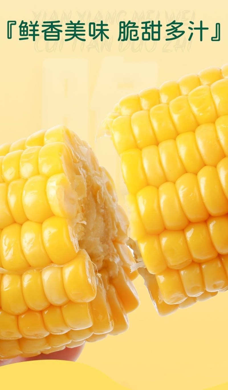 云南高原生态水果玉米甜脆开袋即食玉米段