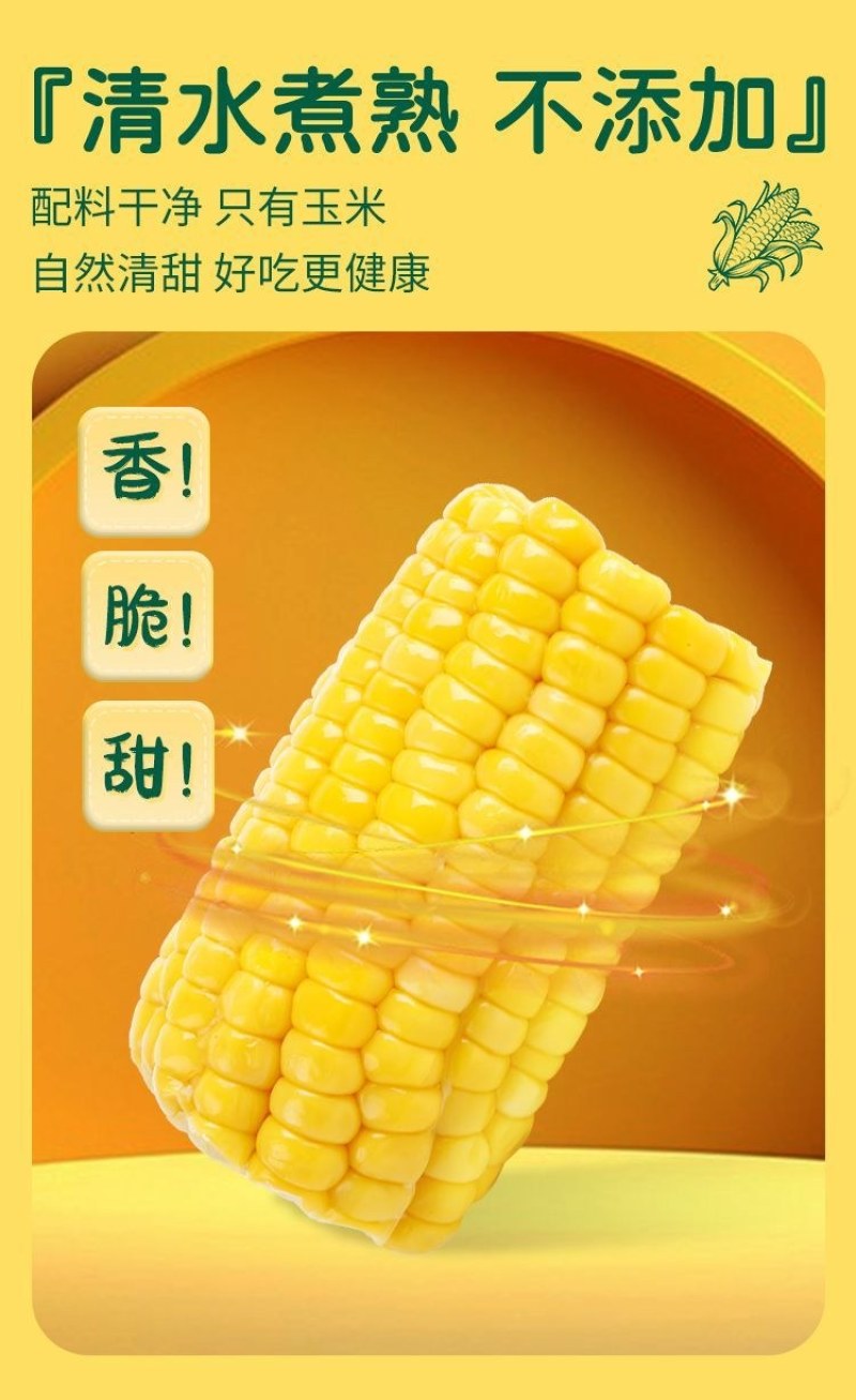 云南高原生态水果玉米甜脆开袋即食玉米段