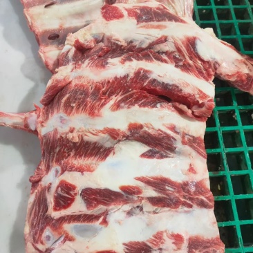 牛光排餐饮自助酒店烧烤地摊
