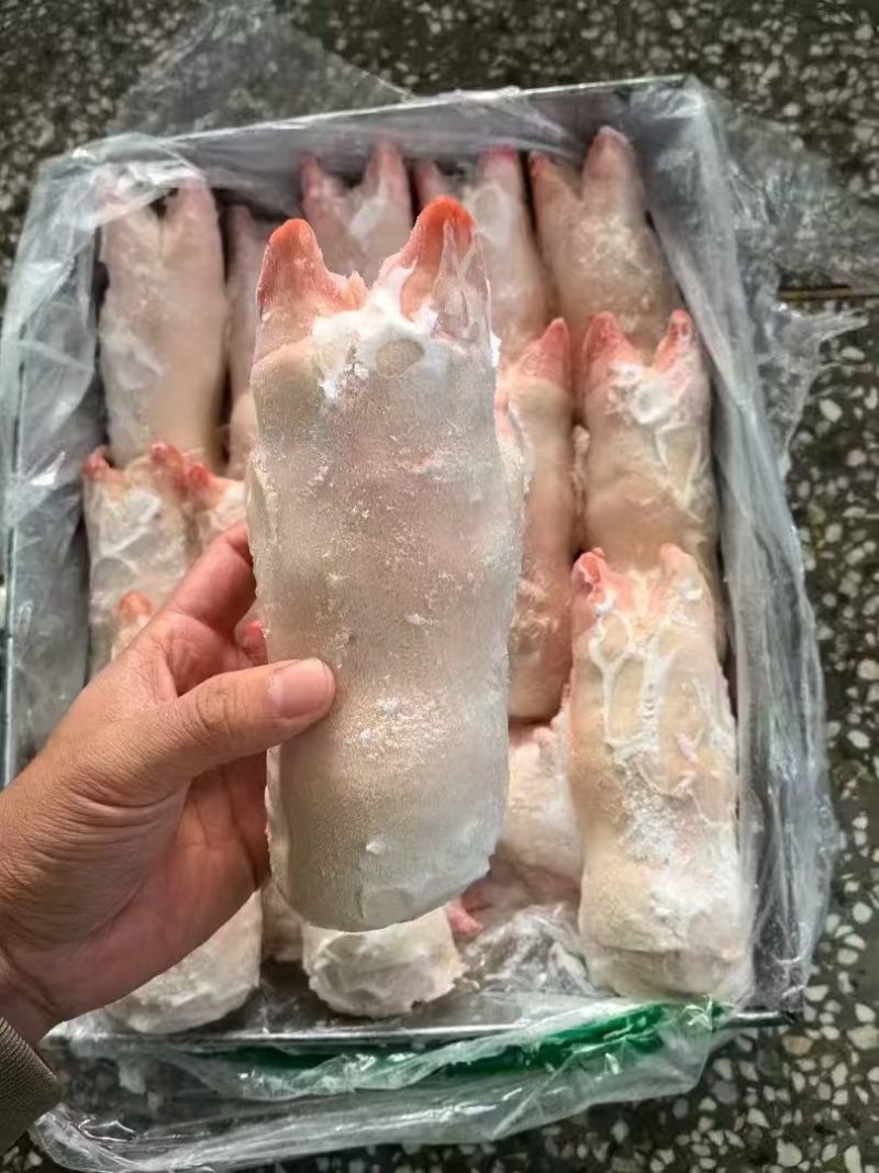 一级带筋前蹄