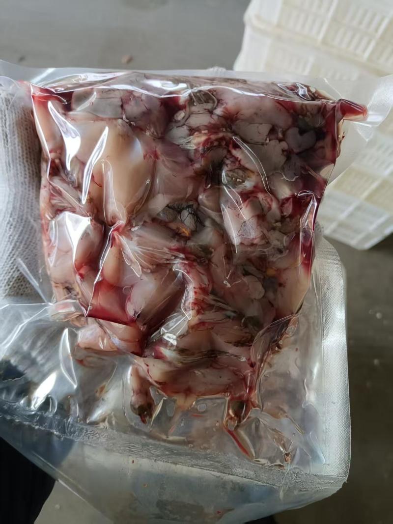 精品青蛙肉，现杀现卖