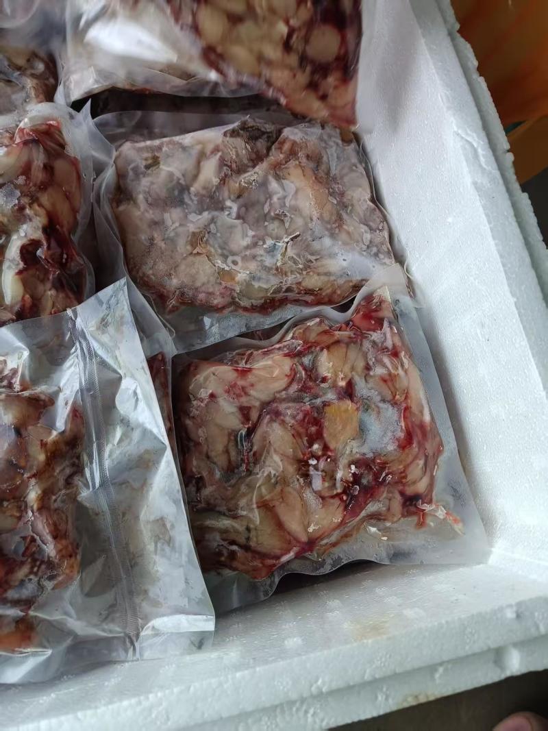 精品青蛙肉，现杀现卖
