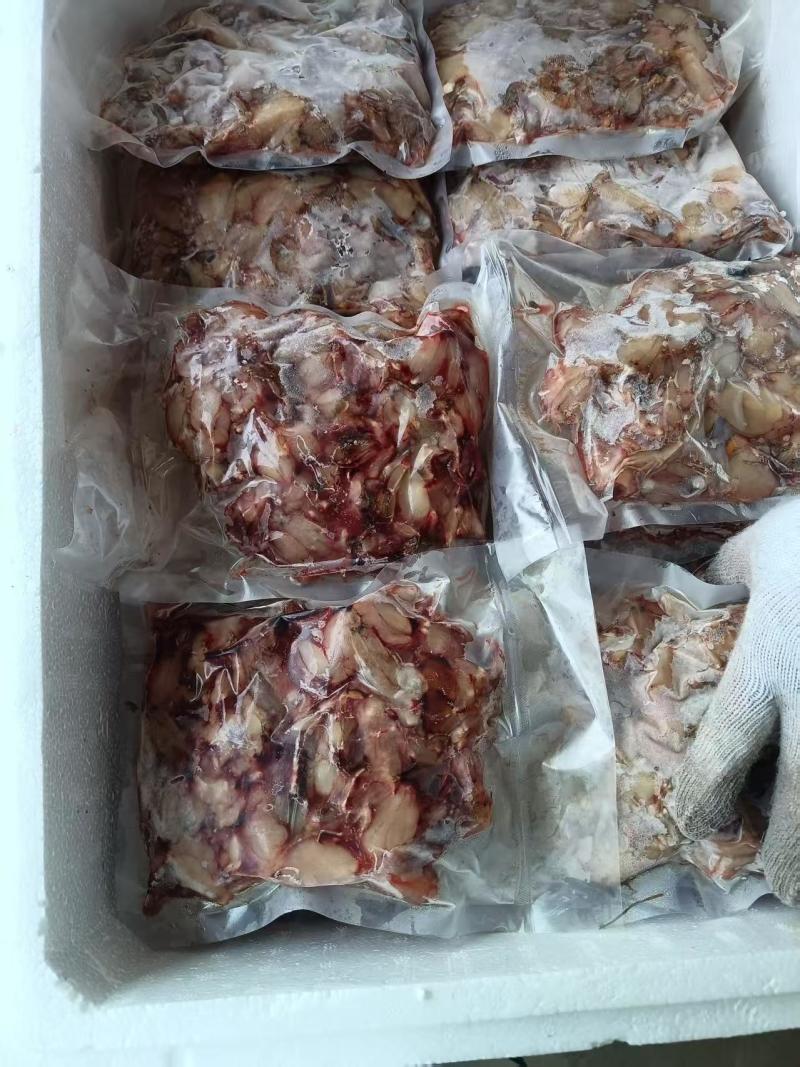 精品青蛙肉，现杀现卖