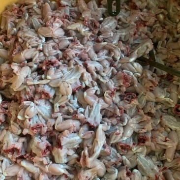 精品青蛙肉，现杀现卖