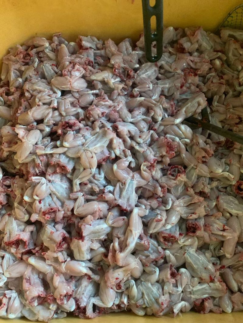 精品青蛙肉，现杀现卖