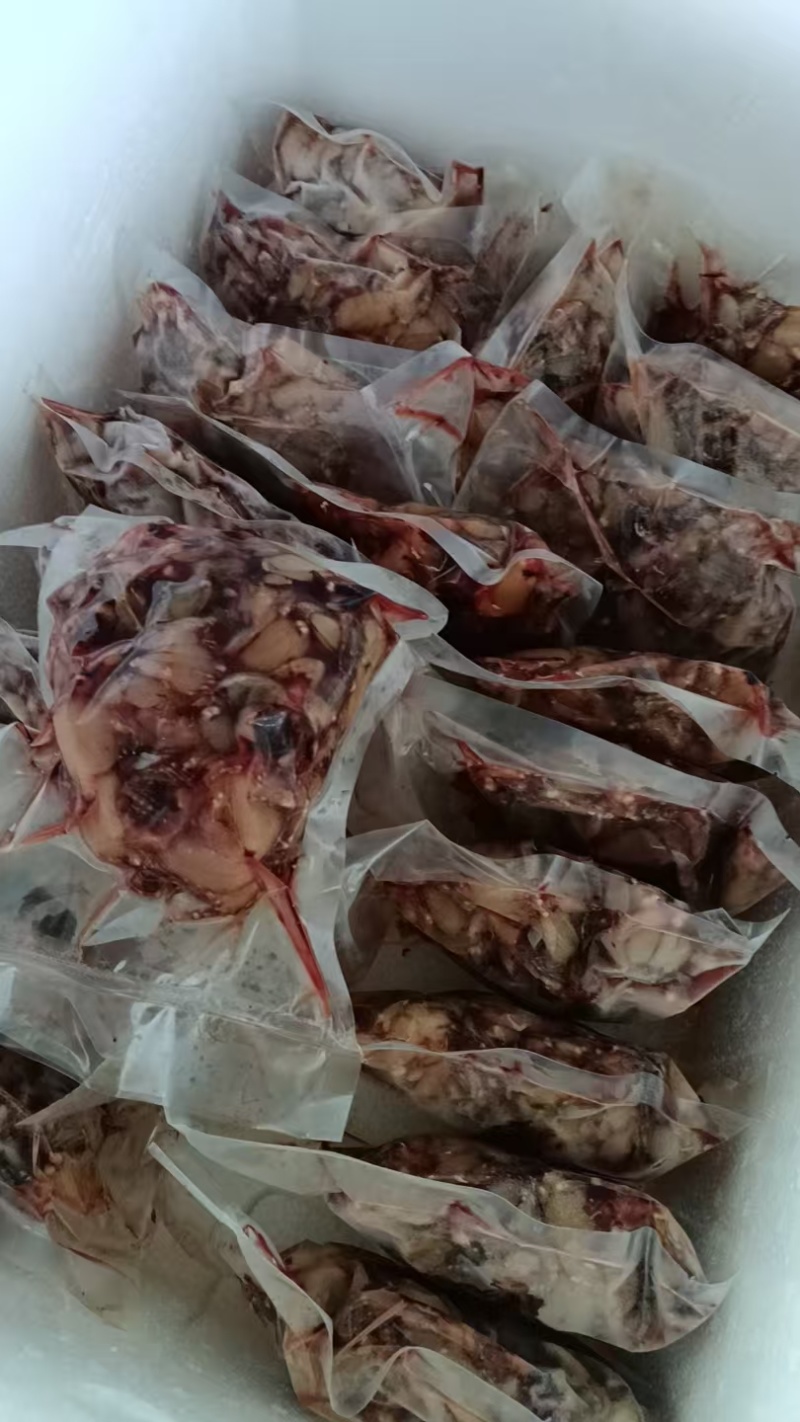 精品青蛙肉，现杀现卖