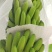 大量供应淋花生麸水溶肥巴西香蕉清甜