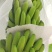 大量供应淋花生麸水溶肥巴西香蕉清甜