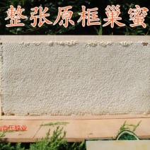 2026年新巢蜜洋槐山花蜂农自产假一赔万