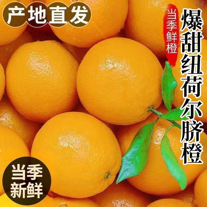 湖南纽荷尔脐橙，产地一手货源量大优惠，鲜甜多汁，欢迎合作