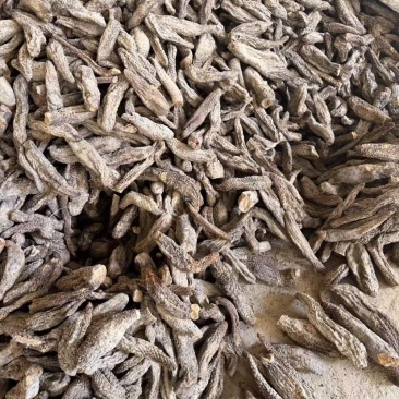 新疆肉苁蓉硬大芸一手货源大量供货支持一件代发