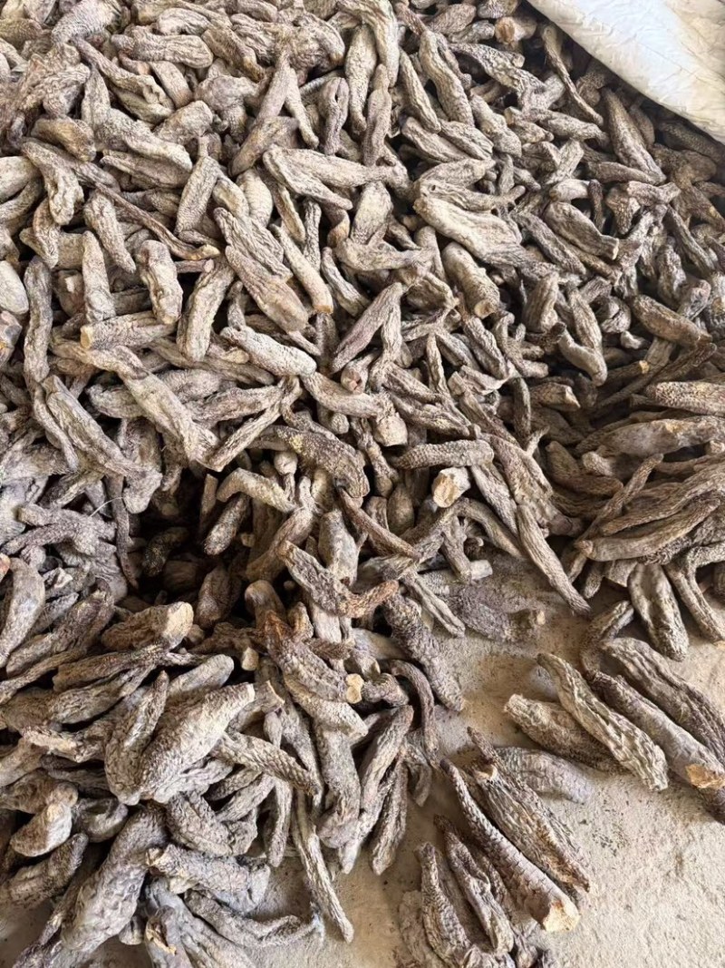新疆肉苁蓉硬大芸一手货源大量供货支持一件代发