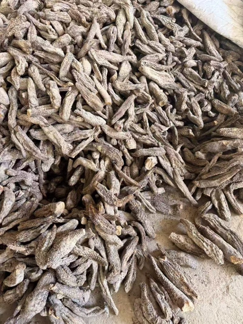 新疆肉苁蓉管花肉苁蓉新疆大芸批发