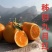 九月红脐橙，产地一手货源量大优惠，汁多味美，可以视频看货