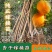 帝王杏子树苗金太阳嫁接杏子苗品种对版大小规格都有