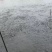 台湾泥鳅大量批发8-10cm