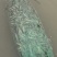 台湾泥鳅大量批发8-10cm