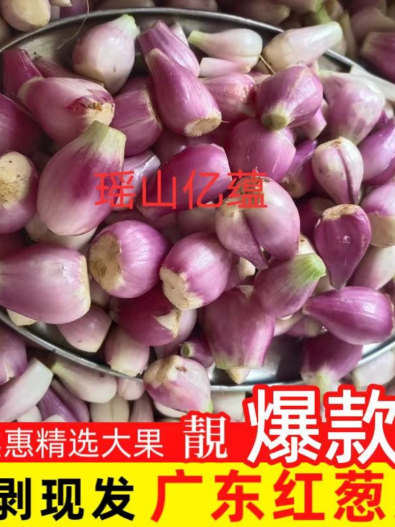 广东红葱头去皮剥皮真空包装全年无休工厂直供发货