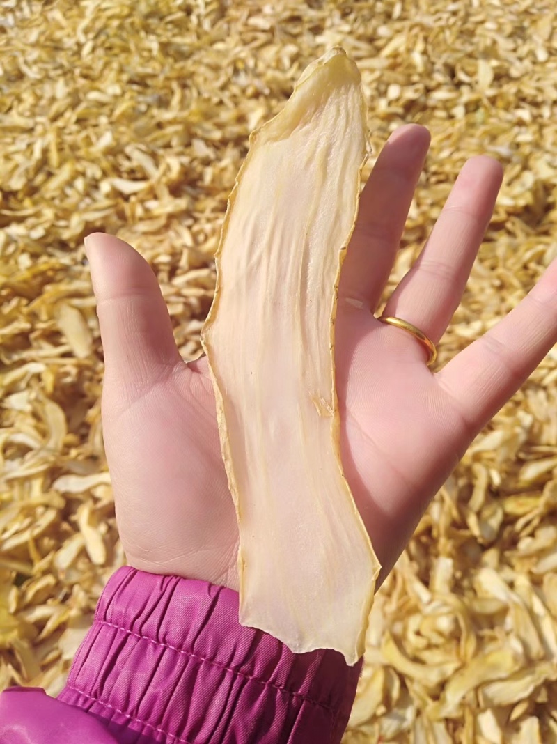 干天麻片