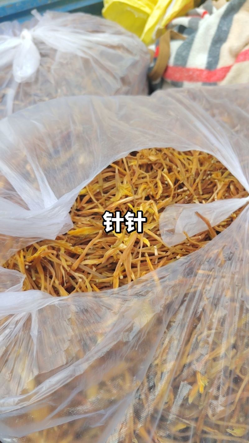 黄花菜
