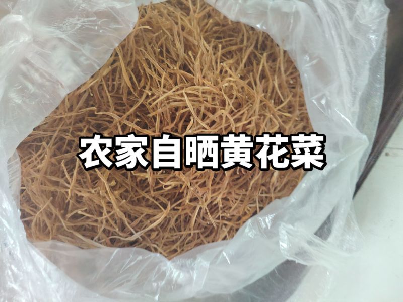 黄花菜